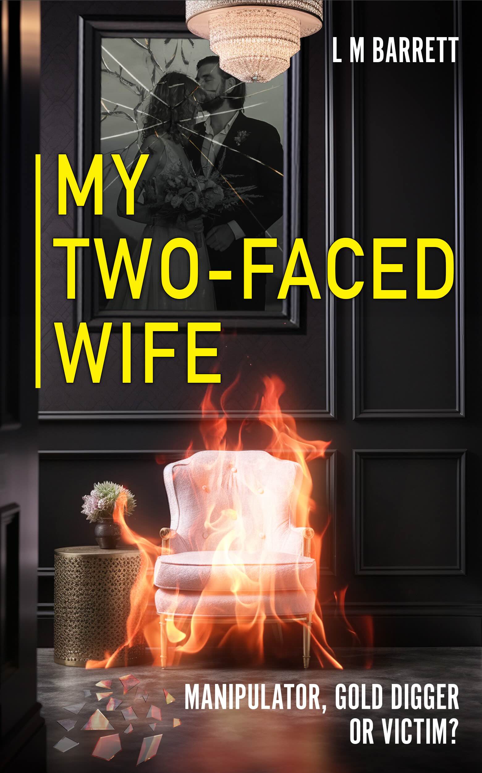 My Two Faced Wife cover